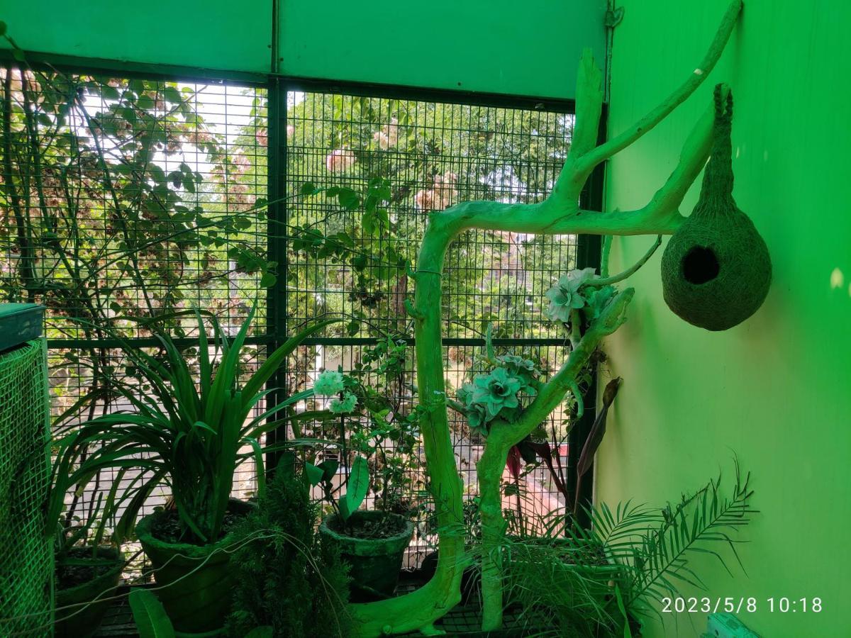 Max Guest House อัครา ภายนอก รูปภาพ